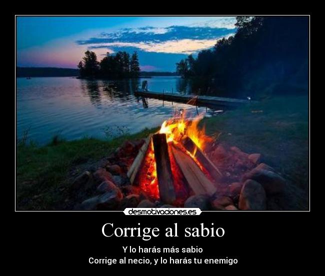 Corrige al sabio - 