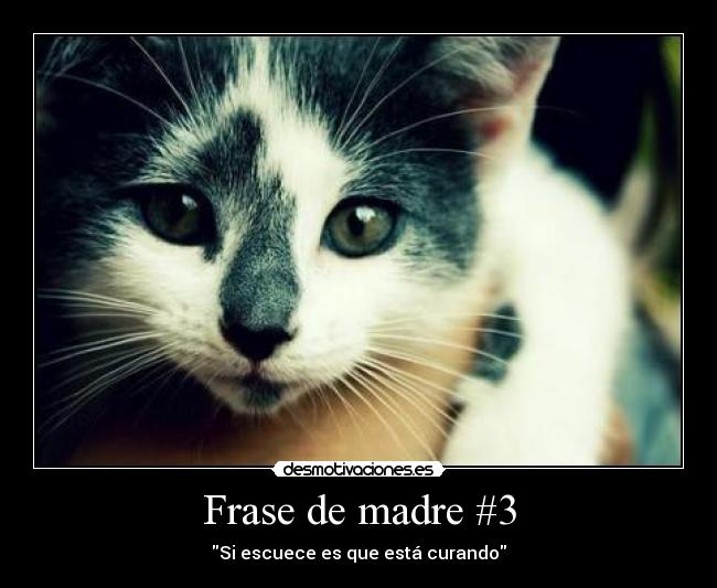 Frase de madre #3 - 