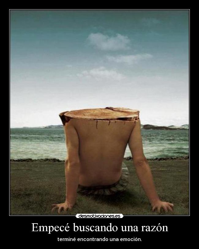 Empecé buscando una razón - terminé encontrando una emoción.
