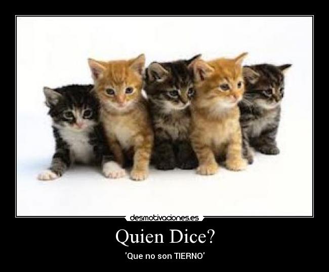 Quien Dice? - Que no son TIERNO