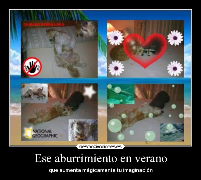 Ese aburrimiento en verano - que aumenta mágicamente tu imaginación