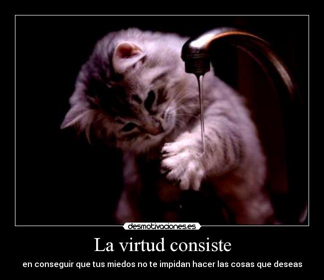 La virtud consiste -