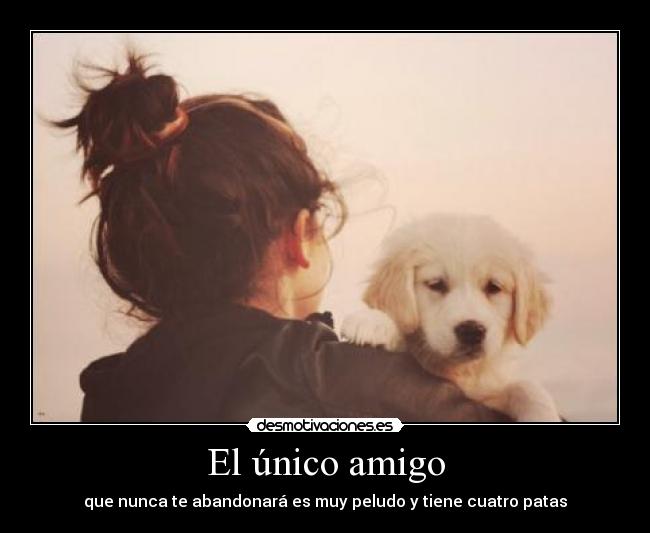 El único amigo - 