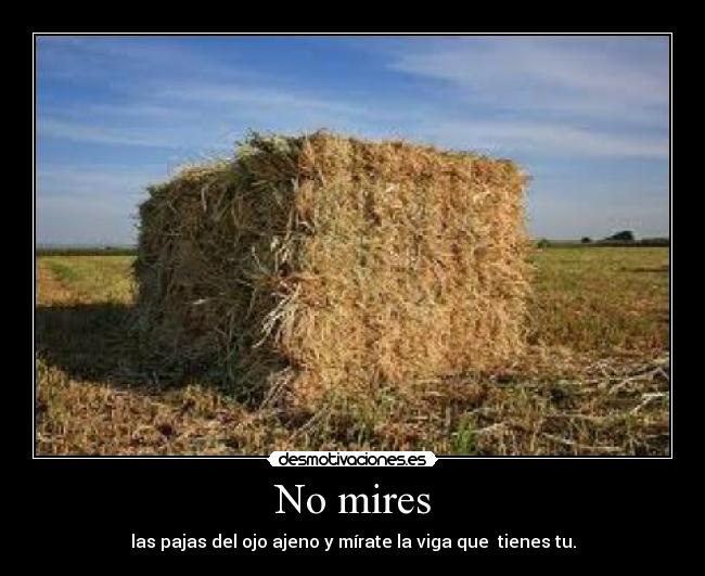 No mires - las pajas del ojo ajeno y mírate la viga que  tienes tu.