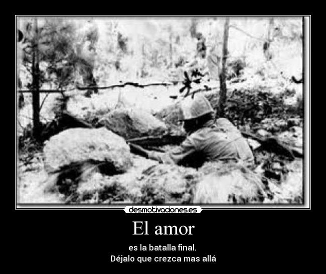 El amor - 