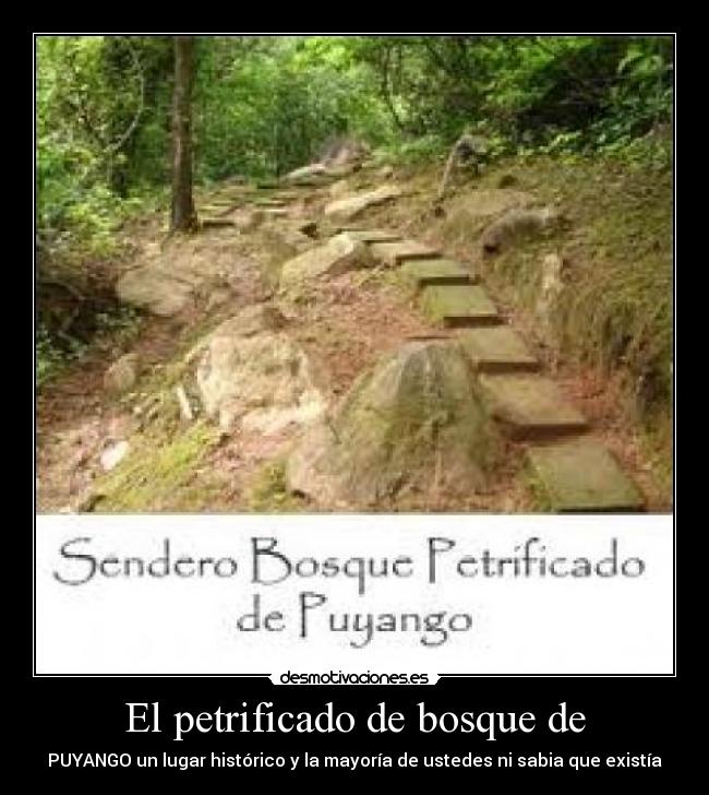 El petrificado de bosque de - PUYANGO un lugar histórico y la mayoría de ustedes ni sabia que existía