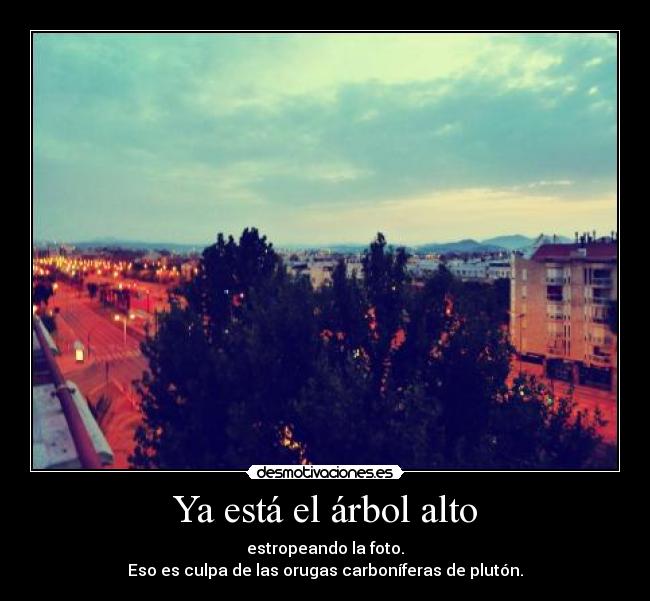 Ya está el árbol alto - 