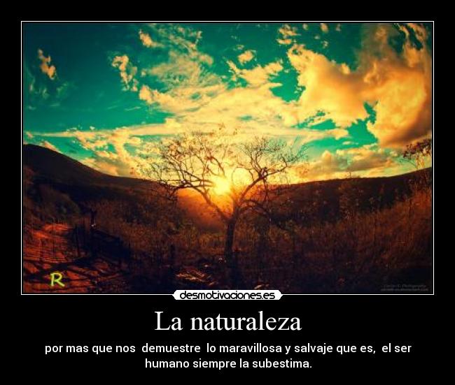 La naturaleza - por mas que nos demuestre lo maravillosa y salvaje que es, el ser
humano siempre la subestima.