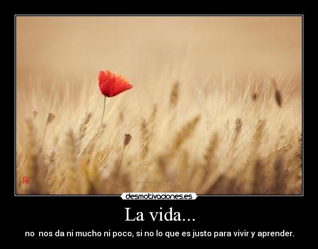 La vida... - no nos da ni mucho ni poco, si no lo que es justo para vivir y aprender.
