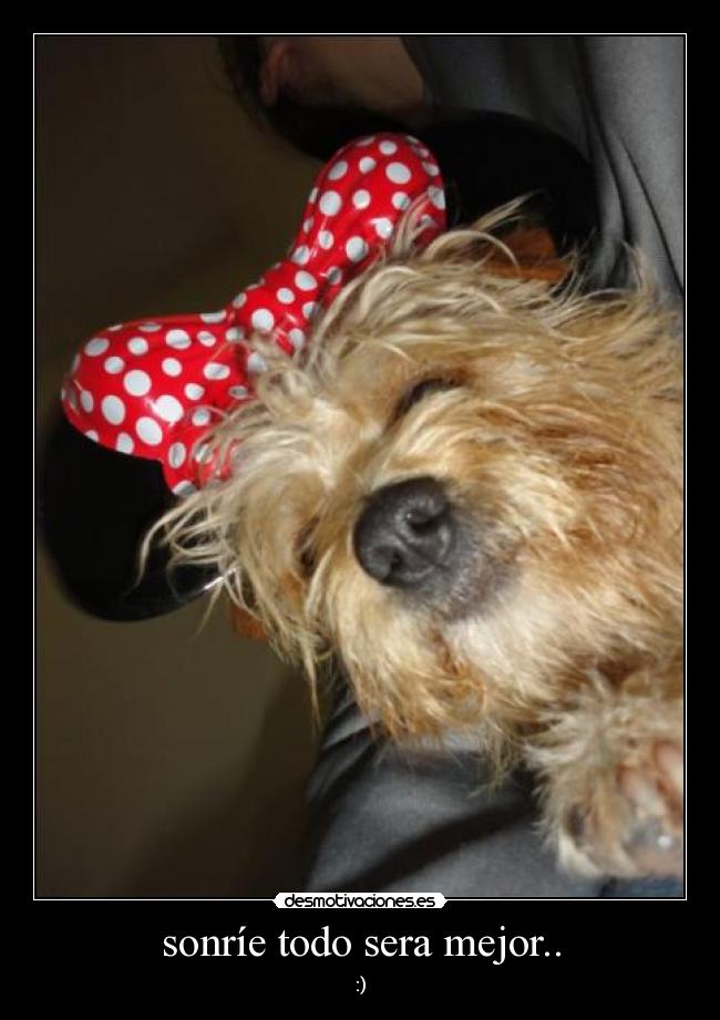 carteles agregenme facebok soy julieta cabrera nunez desmotivaciones