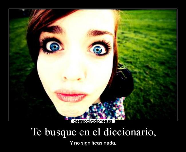 Te busque en el diccionario, -