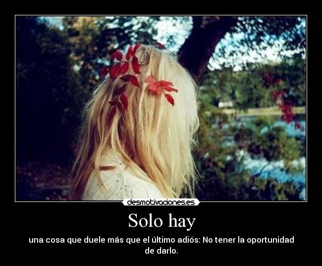 carteles dolor desmotivaciones