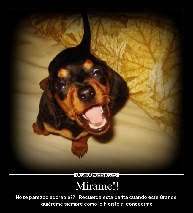 Mirame!! -