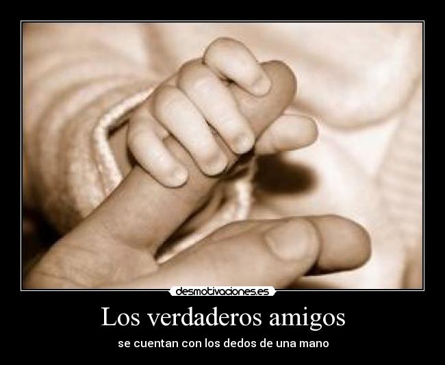 Los verdaderos amigos - 