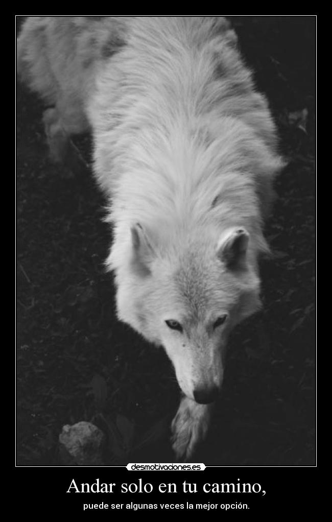 Andar solo en tu camino, -