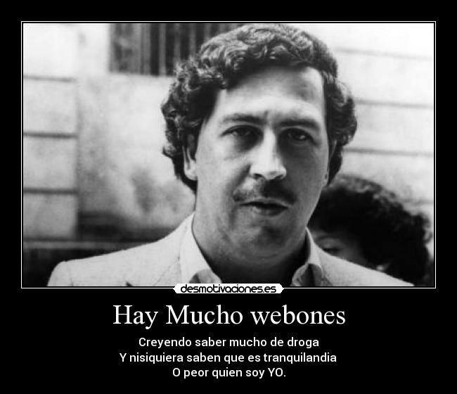 Hay Mucho webones - Creyendo saber mucho de droga
Y nisiquiera saben que es tranquilandia
O peor quien soy YO.