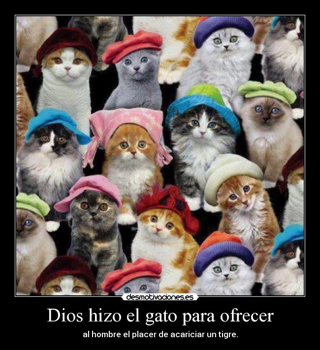 Dios hizo el gato para ofrecer - al hombre el placer de acariciar un tigre.