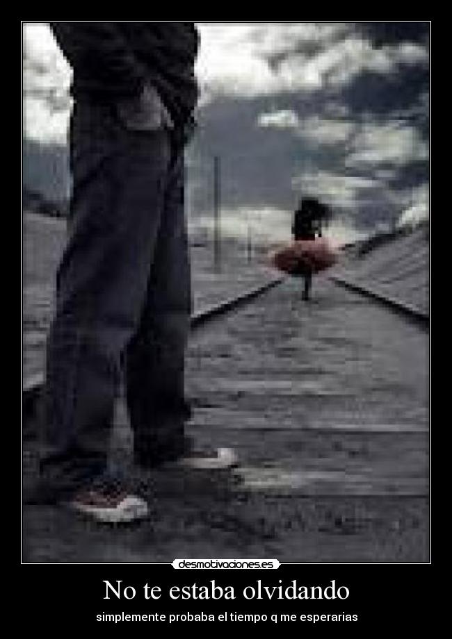 No te estaba olvidando -