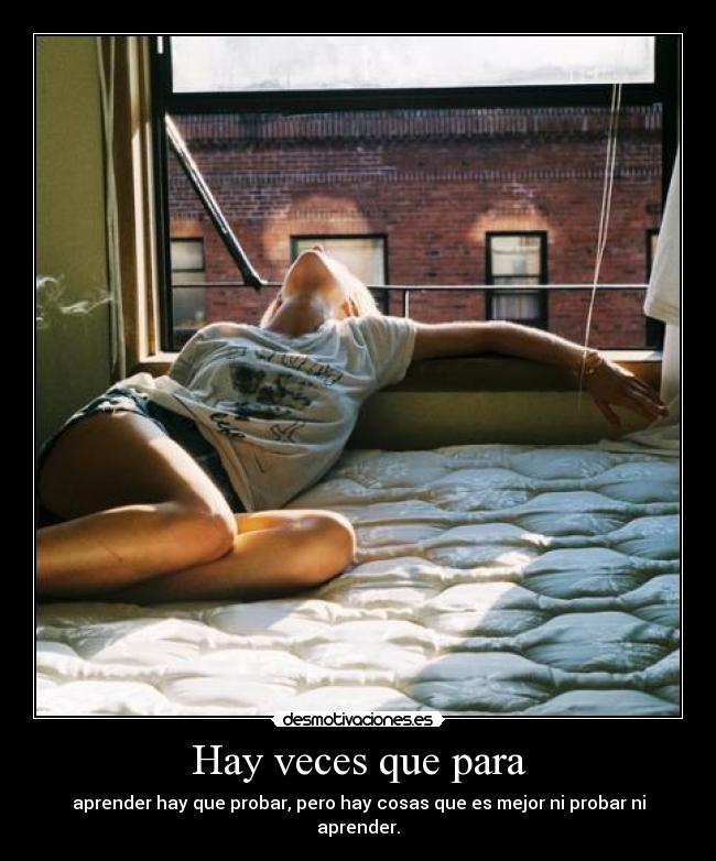 carteles las lagrimas cesan harta llorar toda noche clanciwi familialemur desmomanda desmotivaciones