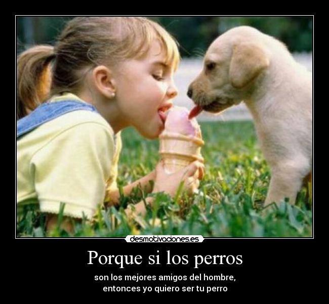 Porque si los perros -