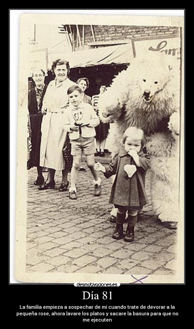 carteles bear pls desmotivaciones