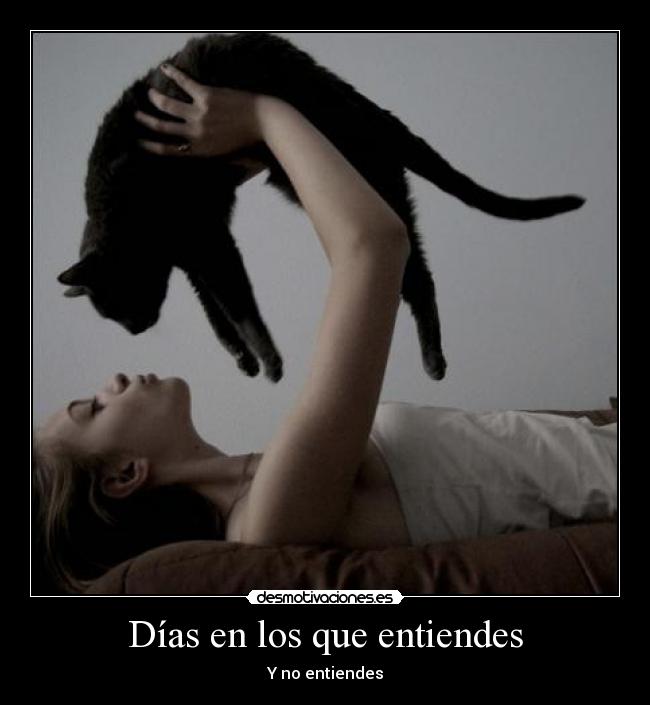 carteles gato intruders crazyclub clanreyleon confusion desmotivaciones