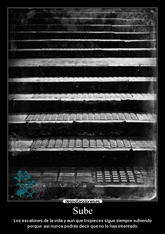 Sube - Los escalones de la vida y aun que tropieces sigue siempre subiendo
porque así nunca podrás decir que no lo has intentado.