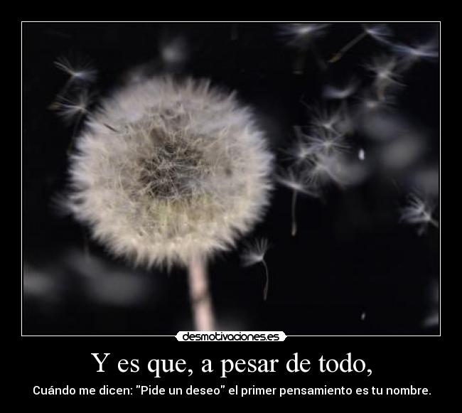 Y es que, a pesar de todo, - Cuándo me dicen: Pide un deseo el primer pensamiento es tu nombre.