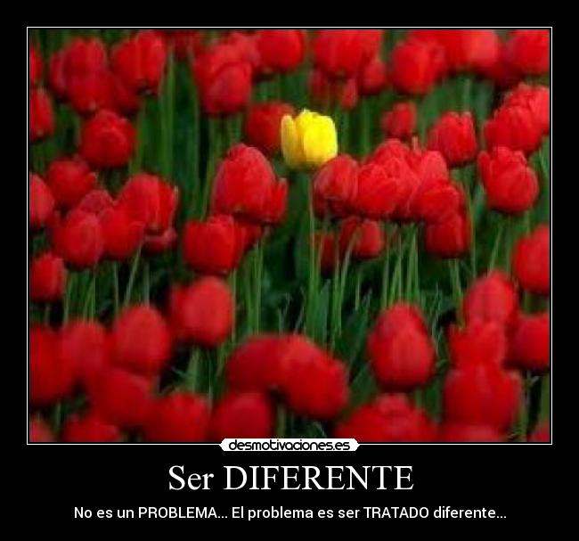 Ser DIFERENTE - No es un PROBLEMA... El problema es ser TRATADO diferente...