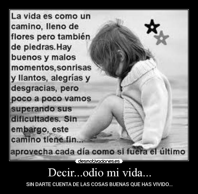 Decir...odio mi vida... - SIN DARTE CUENTA DE LAS COSAS BUENAS QUE HAS VIVIDO...