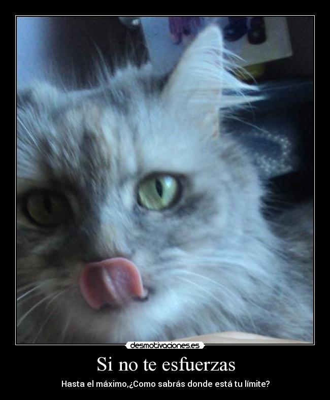 Si no te esfuerzas - Hasta el máximo,¿Como sabrás donde está tu límite?