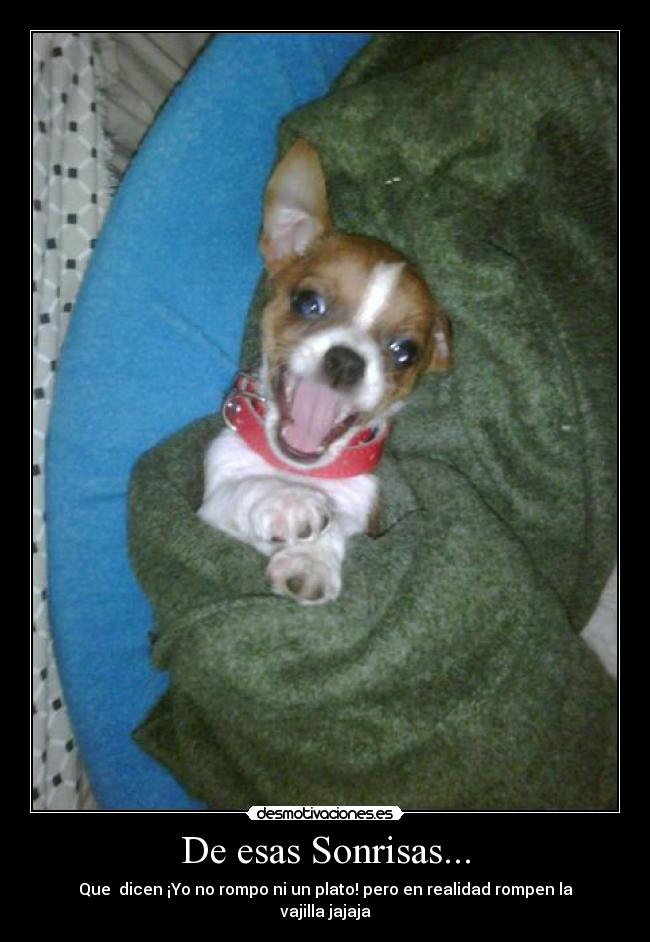 carteles sonrisas que dicen mas que mil palabras desmotivaciones