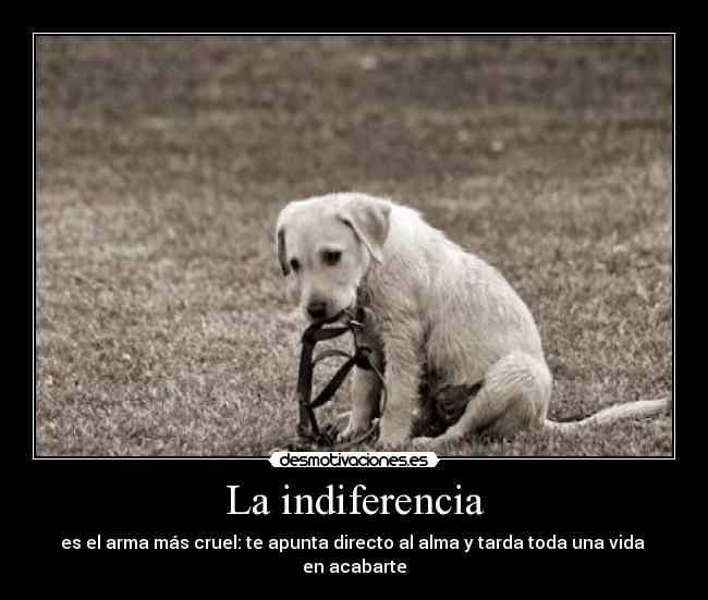 La indiferencia - 