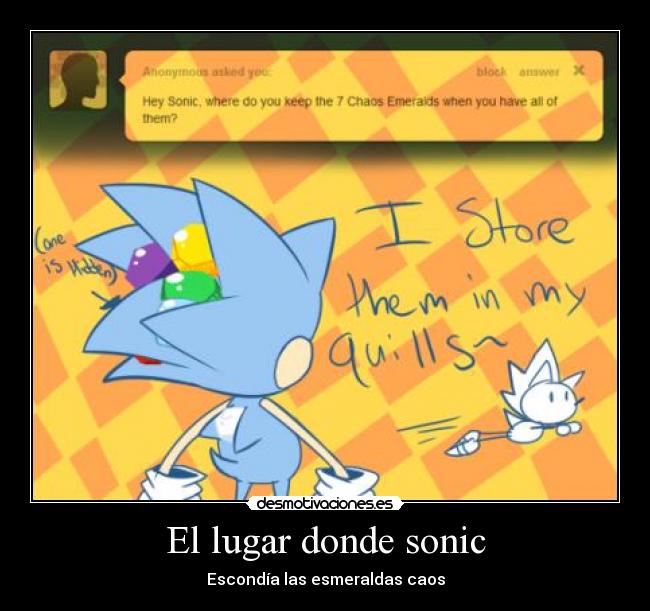 El lugar donde sonic -