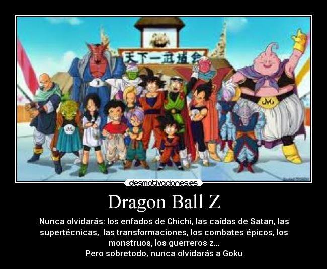 Dragon Ball Z - Nunca olvidarás: los enfados de Chichi, las caídas de Satan, las
supertécnicas,  las transformaciones, los combates épicos, los
monstruos, los guerreros z...
Pero sobretodo, nunca olvidarás a Goku