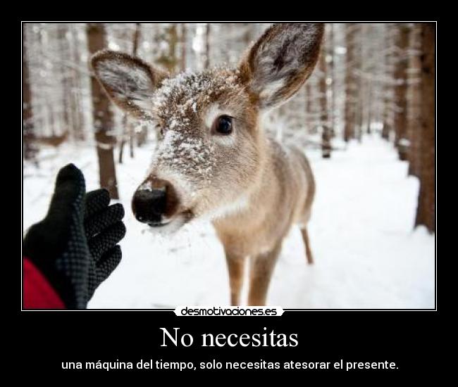 No necesitas - 