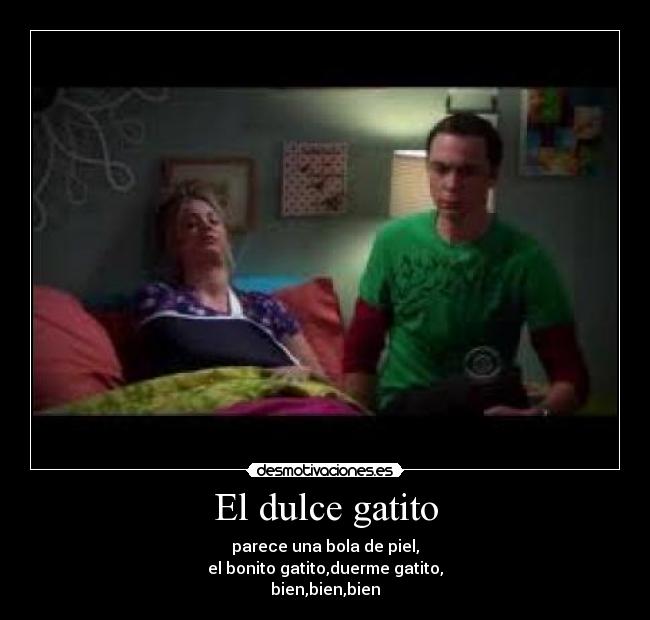 El dulce gatito -