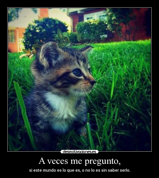 A veces me pregunto, - si este mundo es lo que es, o no lo es sin saber serlo.