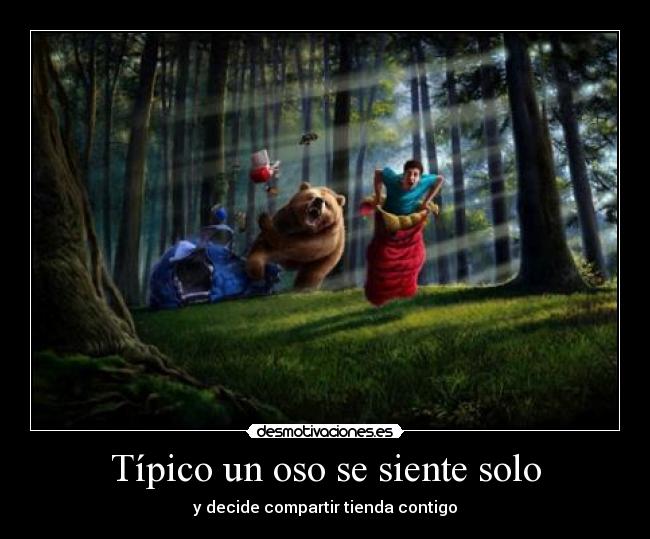 Típico un oso se siente solo -
