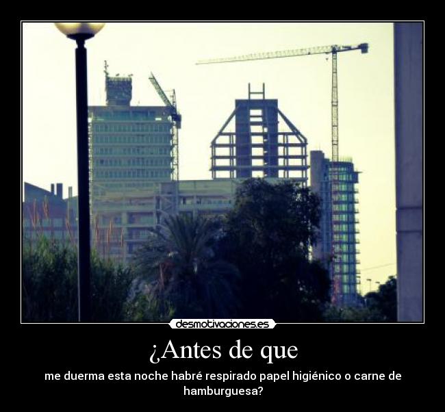 ¿Antes de que - me duerma esta noche habré respirado papel higiénico o carne de hamburguesa?