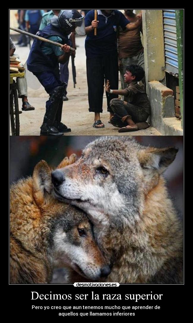 Decimos ser la raza superior - 