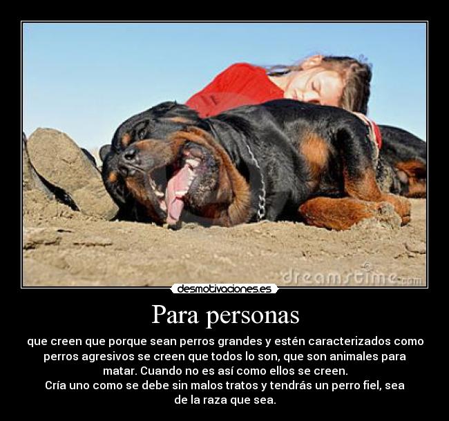 Para personas - 