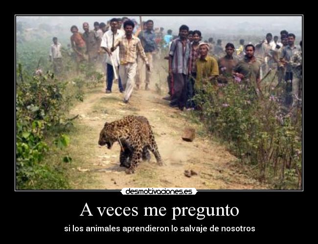 carteles ads asd dss desmotivaciones