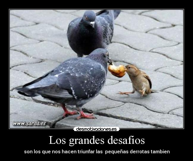 Los grandes desafios -
