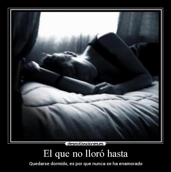 carteles que lloro hasta desmotivaciones