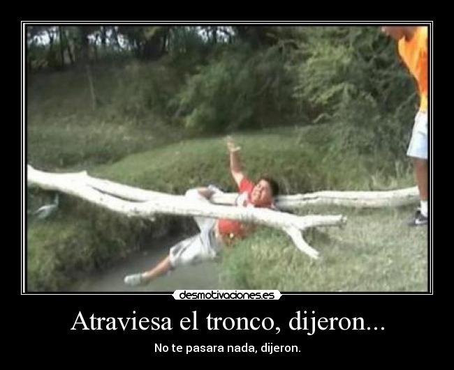 Atraviesa el tronco, dijeron... - No te pasara nada, dijeron.
