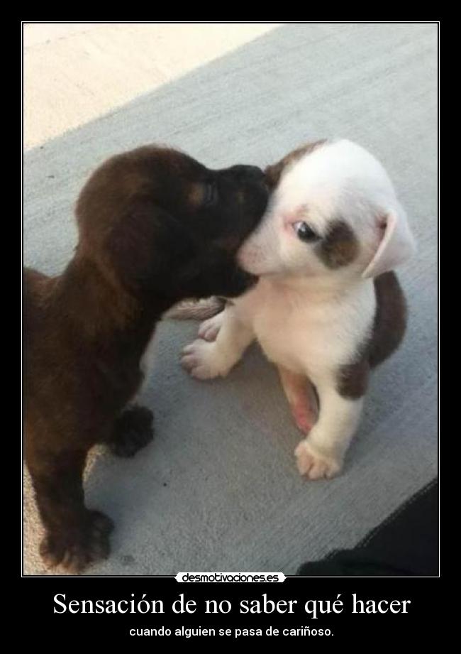 Sensación de no saber qué hacer - cuando alguien se pasa de cariñoso.