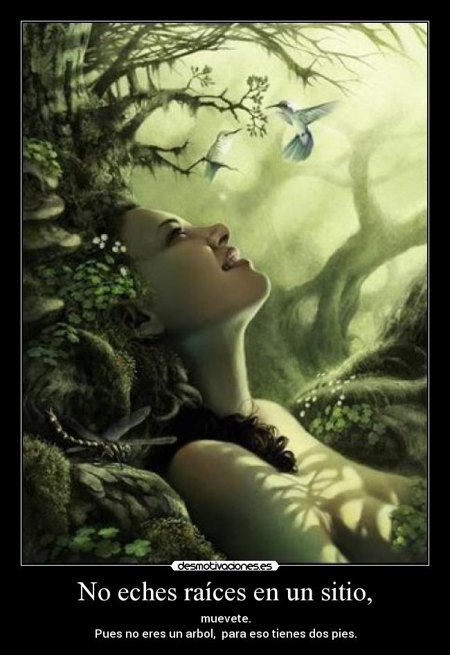 No eches raíces en un sitio, - muevete.
Pues no eres un arbol, para eso tienes dos pies.