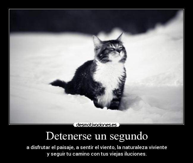 carteles lrc1894 desmotivaciones