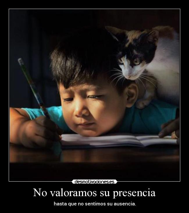 No valoramos su presencia - hasta que no sentimos su ausencia.